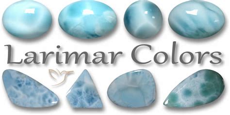 larimar common name.